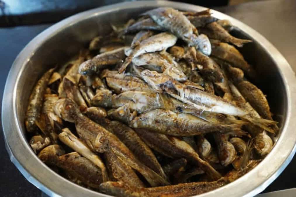 Tried These 6 Fermented Fish Dishes From Across The Globe?