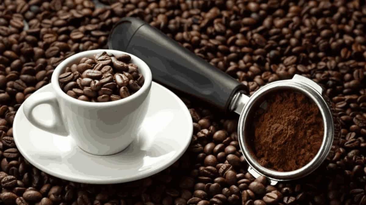 Did You Know Coffee Arabica Is 600,000 Years Old? Study Reveals