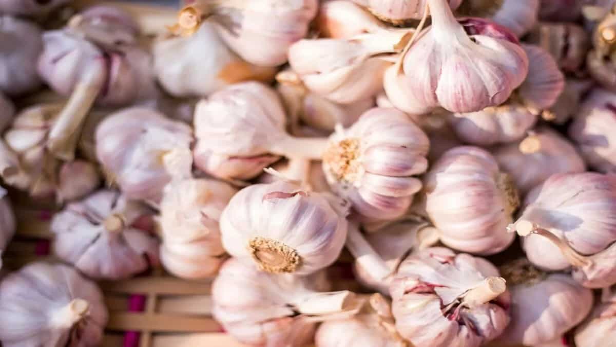 5 Easy Ways To Get Rid Of Stubborn Garlic Smell Off Your Hands