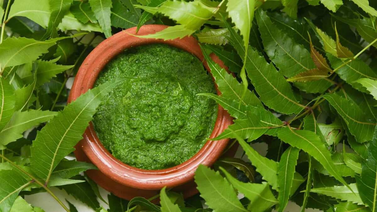Neem Leaves For Hair Growth: Benefits, Uses And Precaution