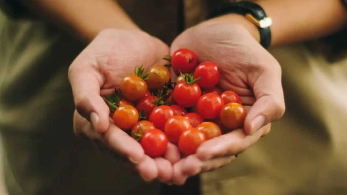 Around The World In 10 Heirloom Tomato Varieties