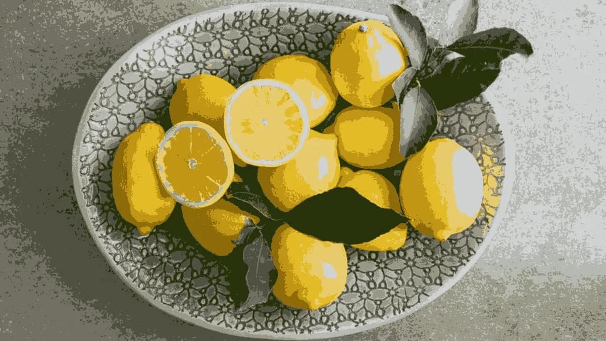 Healthy Lemon Recipes: Nutritious Dishes To Add To Your Diet
