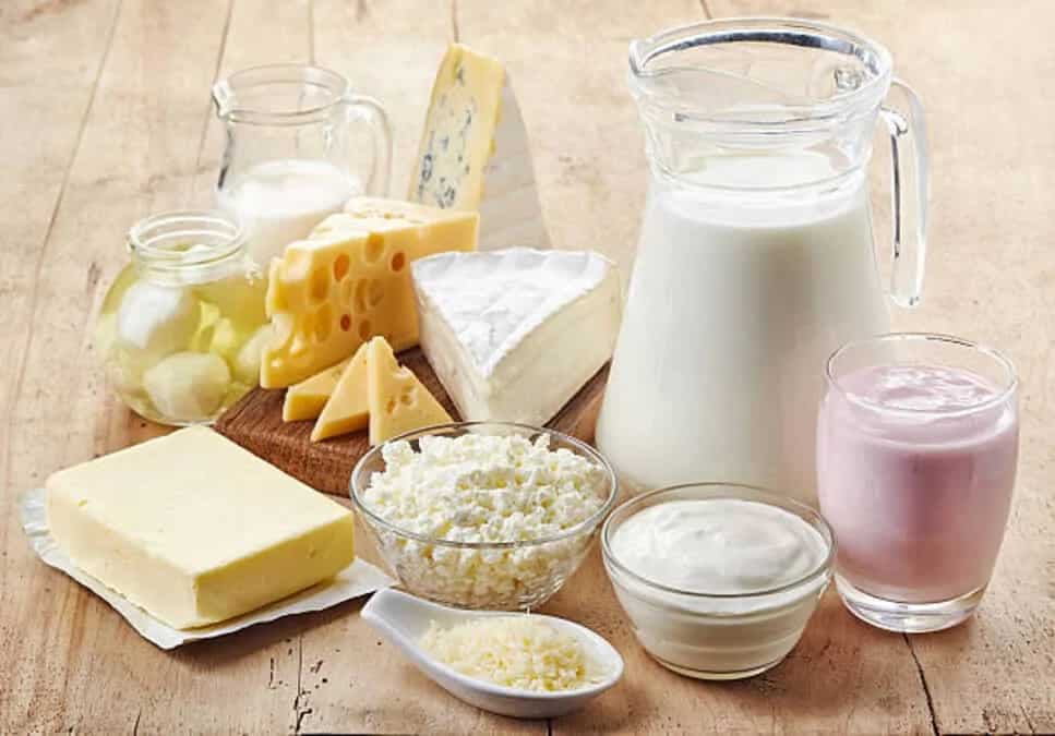 Exploring 7 Milk Products And Their Unique Flavours And Benefits