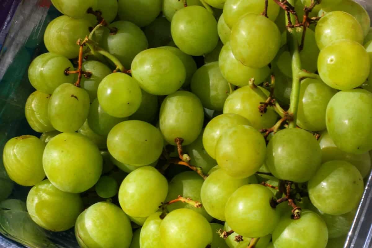Grape Adulteration Video Goes Viral; 5 Ways To Remove Chemicals