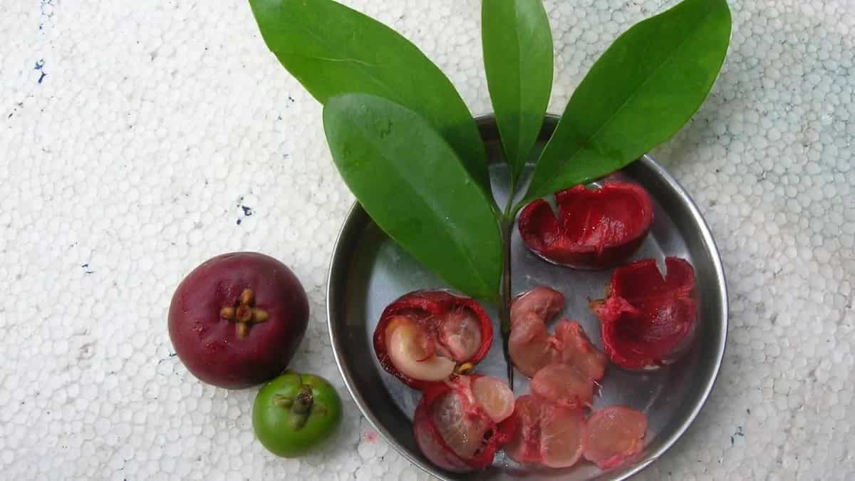 How To Cook With Kokum: Try These 7 Dishes With A Tangy Twist