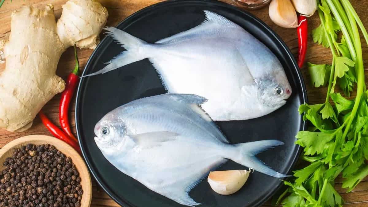 From Seafood to Curd: 5 Foods To Avoid During Monsoon Season