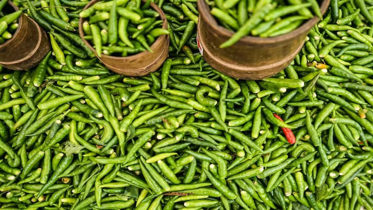 5 Dishes To Make With Green Chillies To Utilise Bulk Purchase