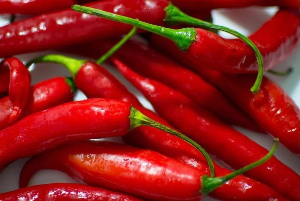 Bhut Jolokia To Carolina Reaper: Health Benefits Of Hot Peppers