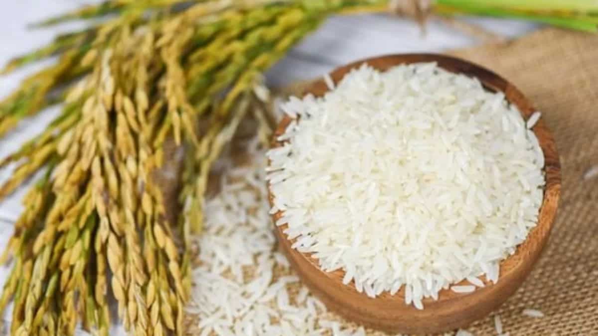 The Significance Of Rice In Indian Cuisine