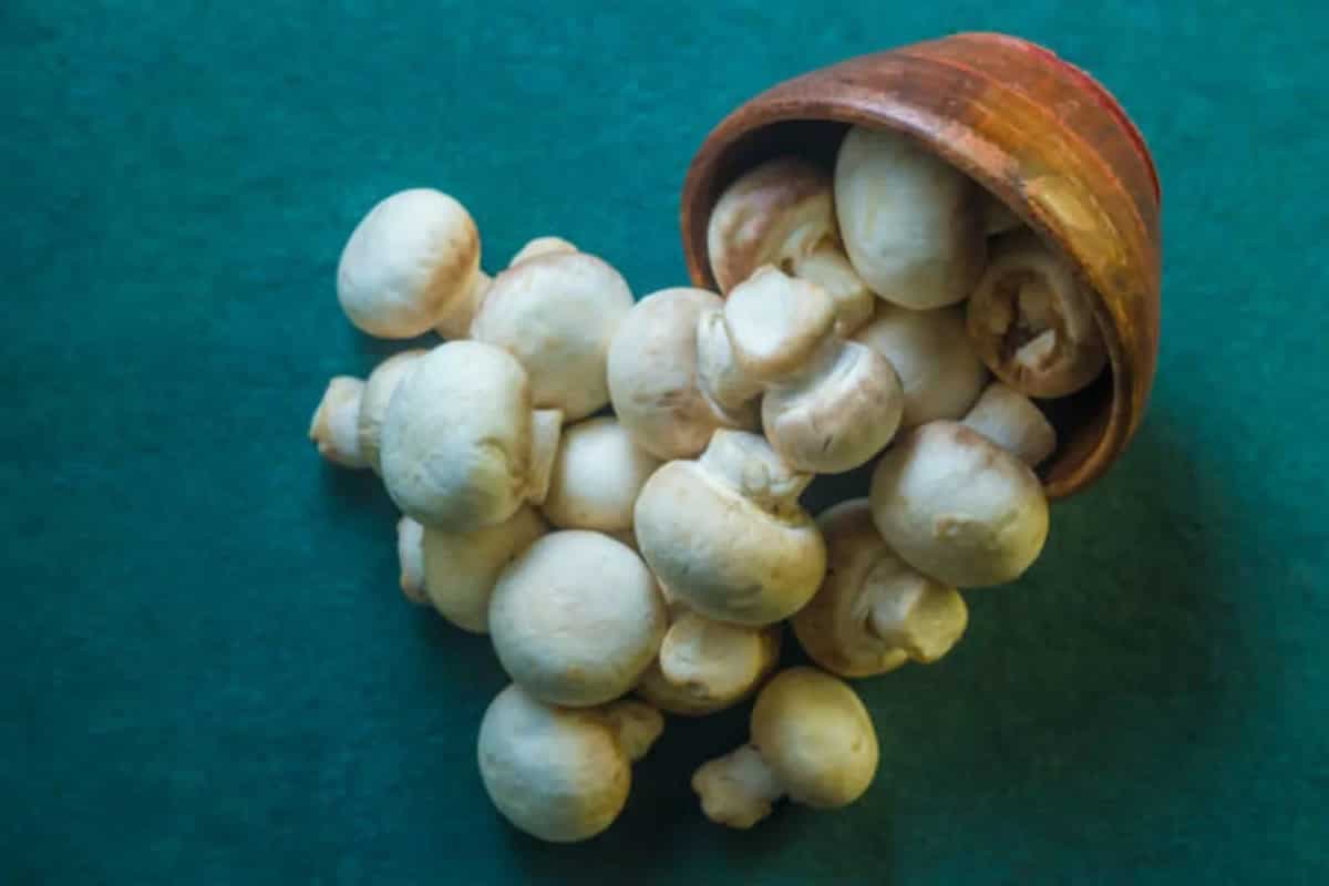 Why Mushrooms Reign As The Ultimate Vegetarian Superfood
