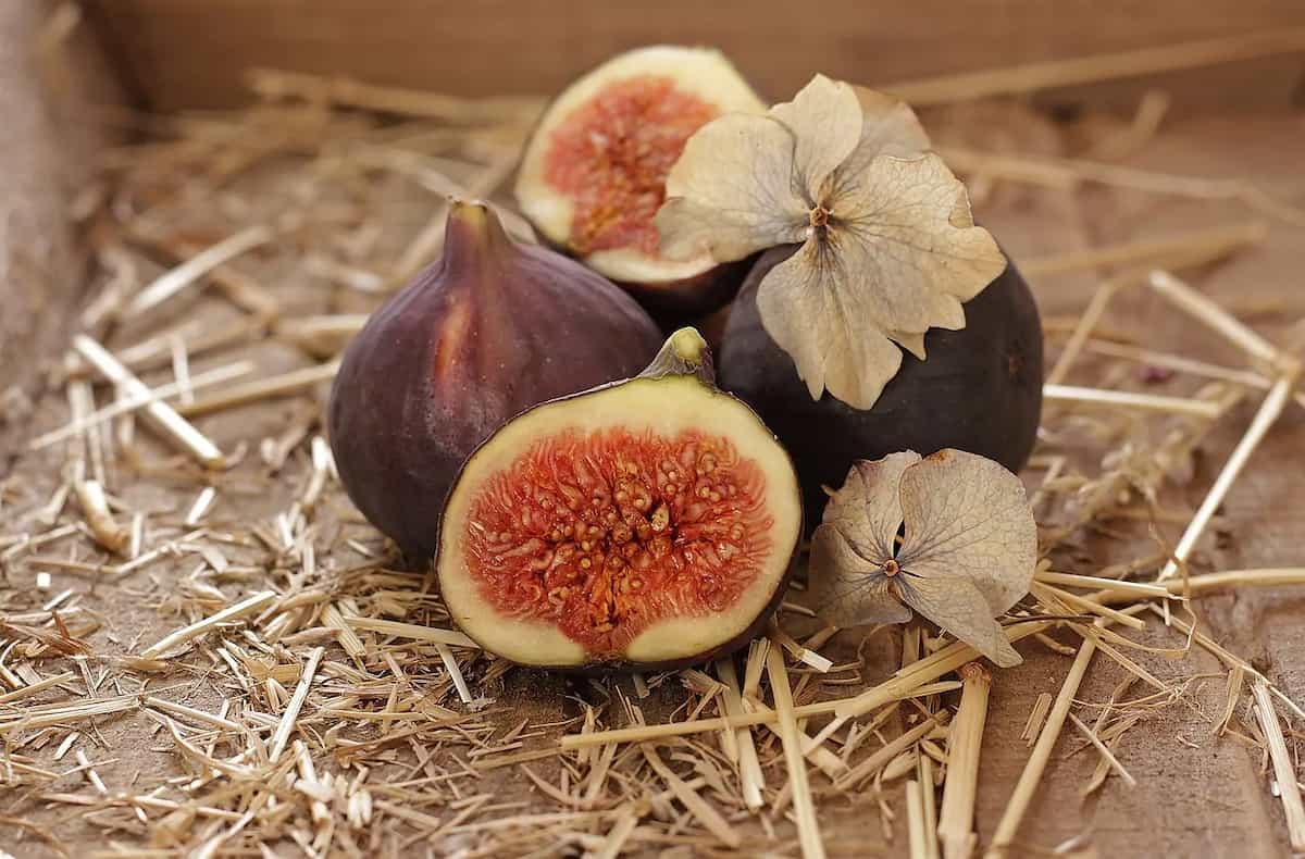 Anjeer For Weight Loss: 10 Benefits Of Adding Figs To Your Diet