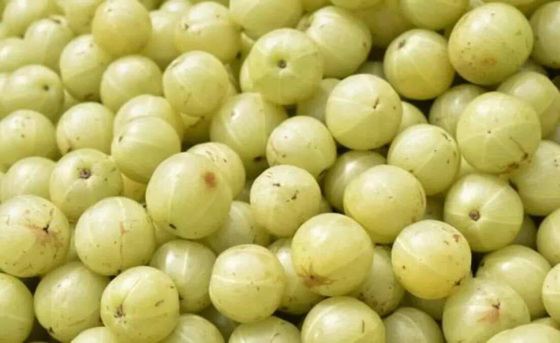 The 6 Gooseberry Delights To Boost Your Health