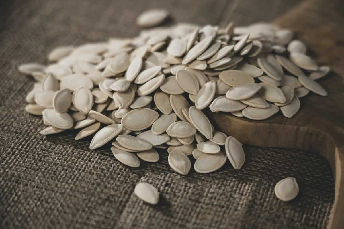 Nutritious Pumpkin Seeds; 6 Health Benefits Explained By Experts