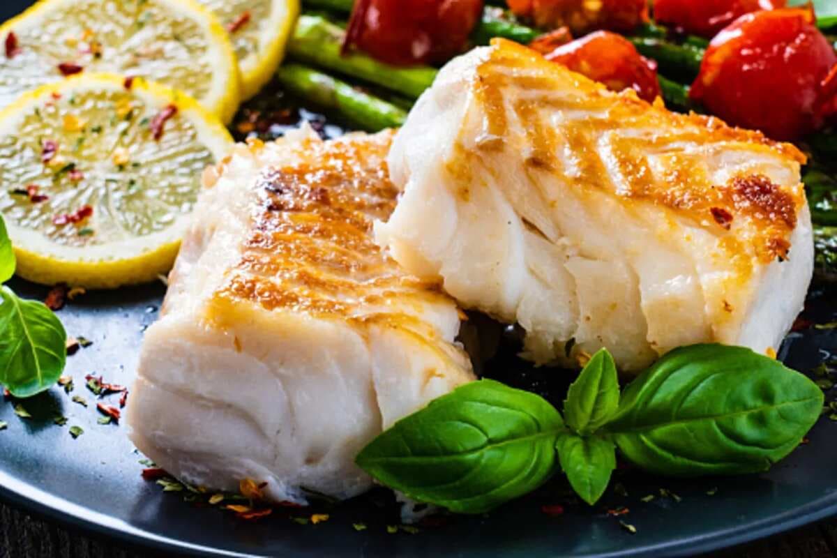 Everything You Need To Know About The Codfish