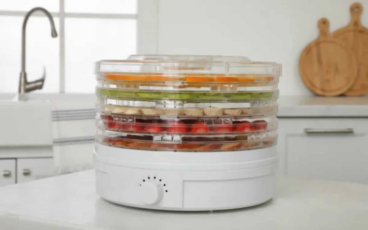 Here Are The 5 Most Popular Food Dehydrators For Your Kitchen