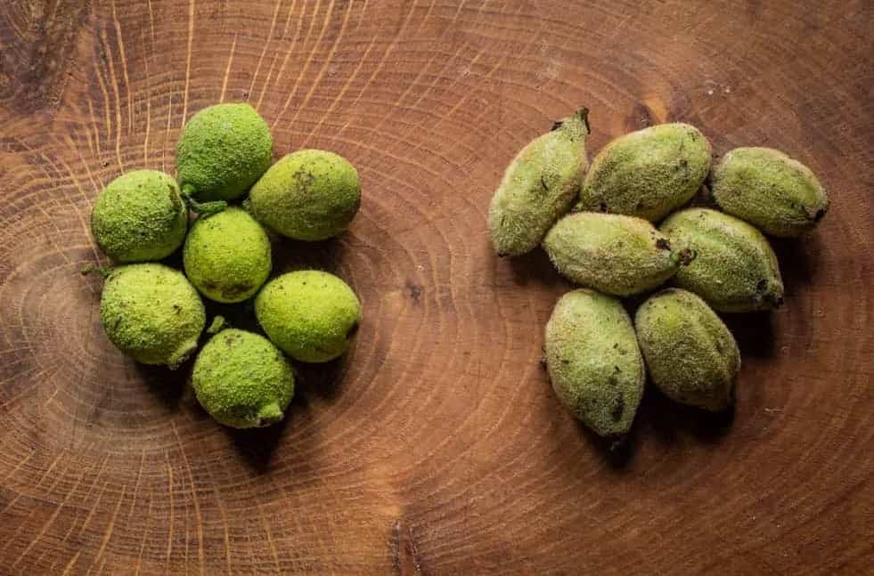 Vlogger Tries Kashmiri Walnuts; Netizens Share Suggestions