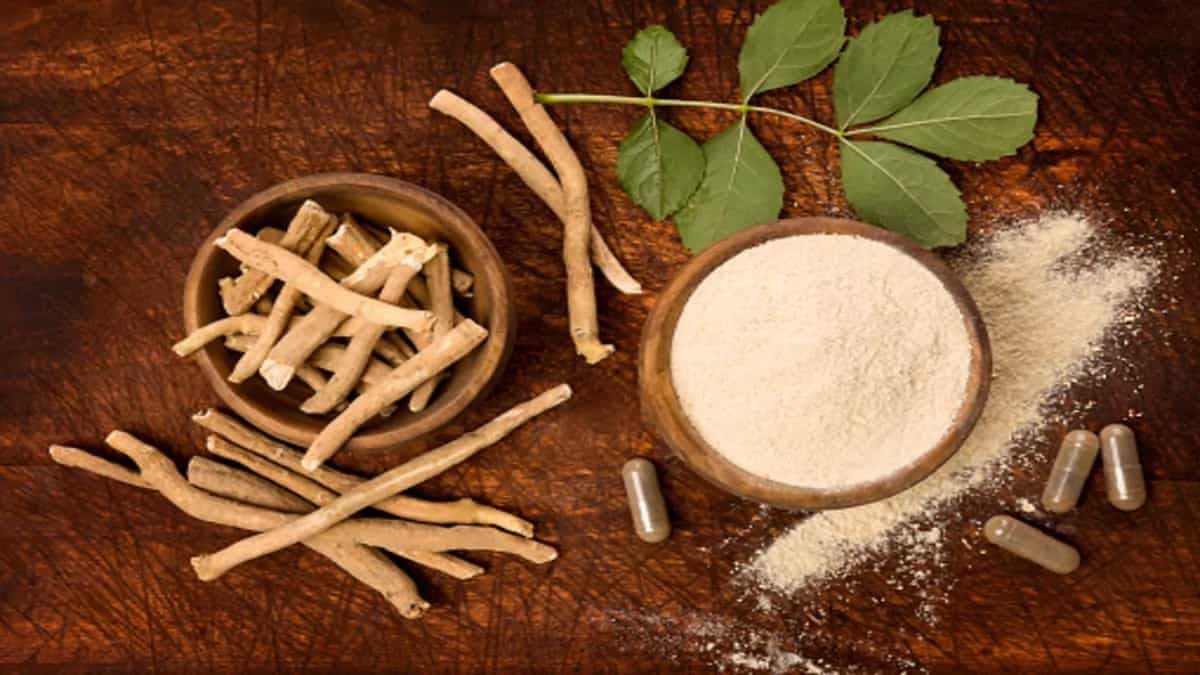 Know Why Ashwagandha Is A Game Changer 