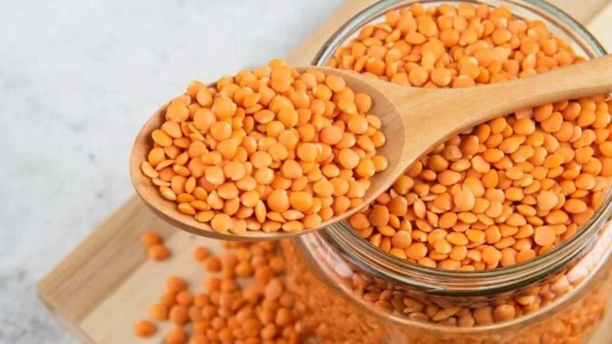 Masoor Dal, A Vegetarian Protein For Your Fat Loss Needs