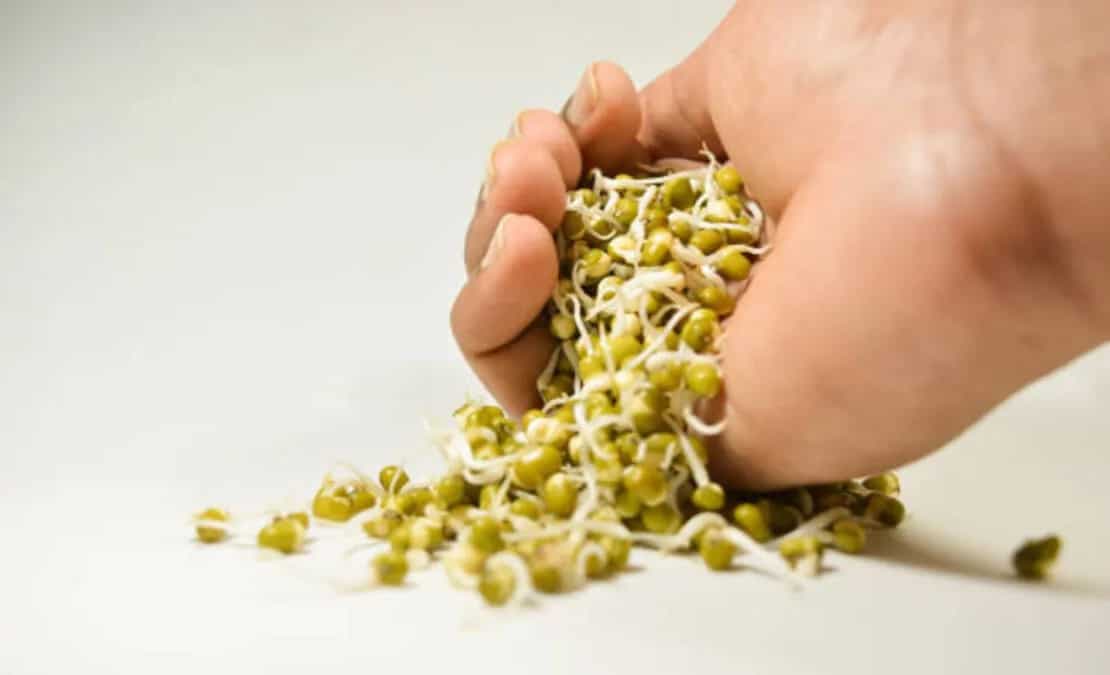 Try These 7 Healthy Snacks Made With Green Gram Sprouts