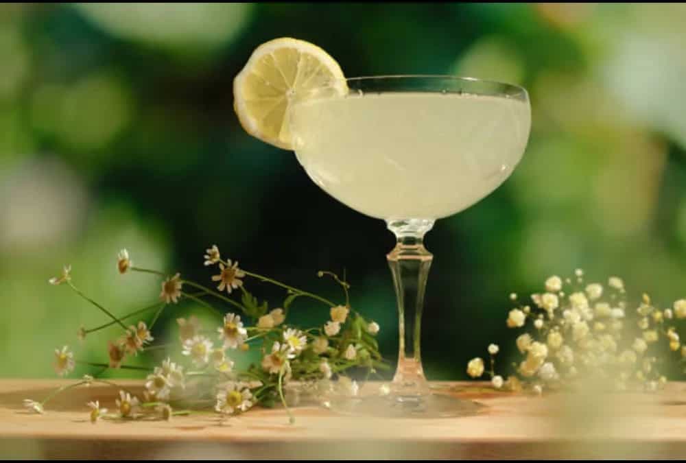 7 Tips To Master The Art Of Making The Perfect Gimlet