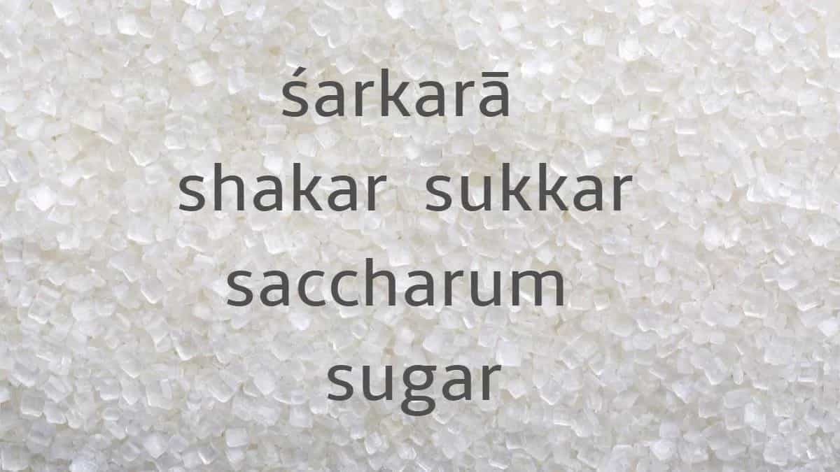 How Śarkarā Crystallised Into Sugar: Food Words That Travelled