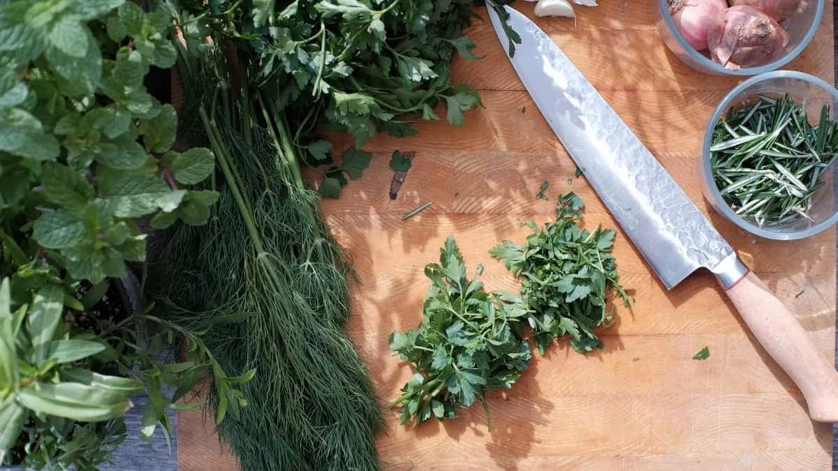 7 Tips To Store Fresh Herbs This Season