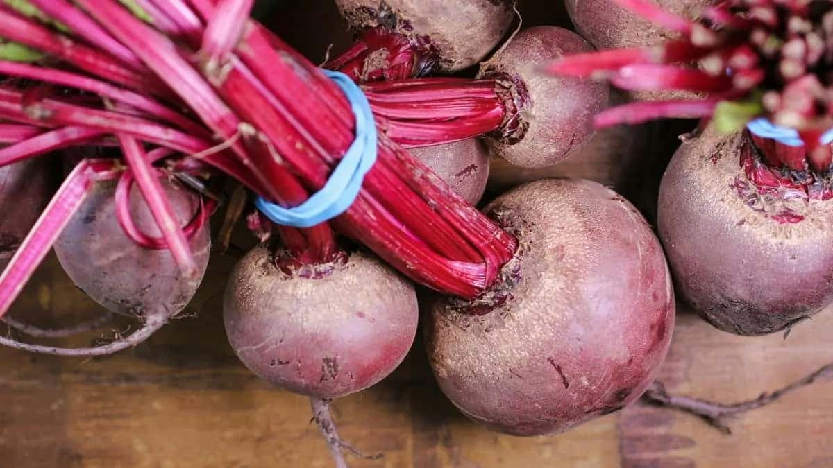 6 Cold Beetroot Dishes You Should Explore This Season