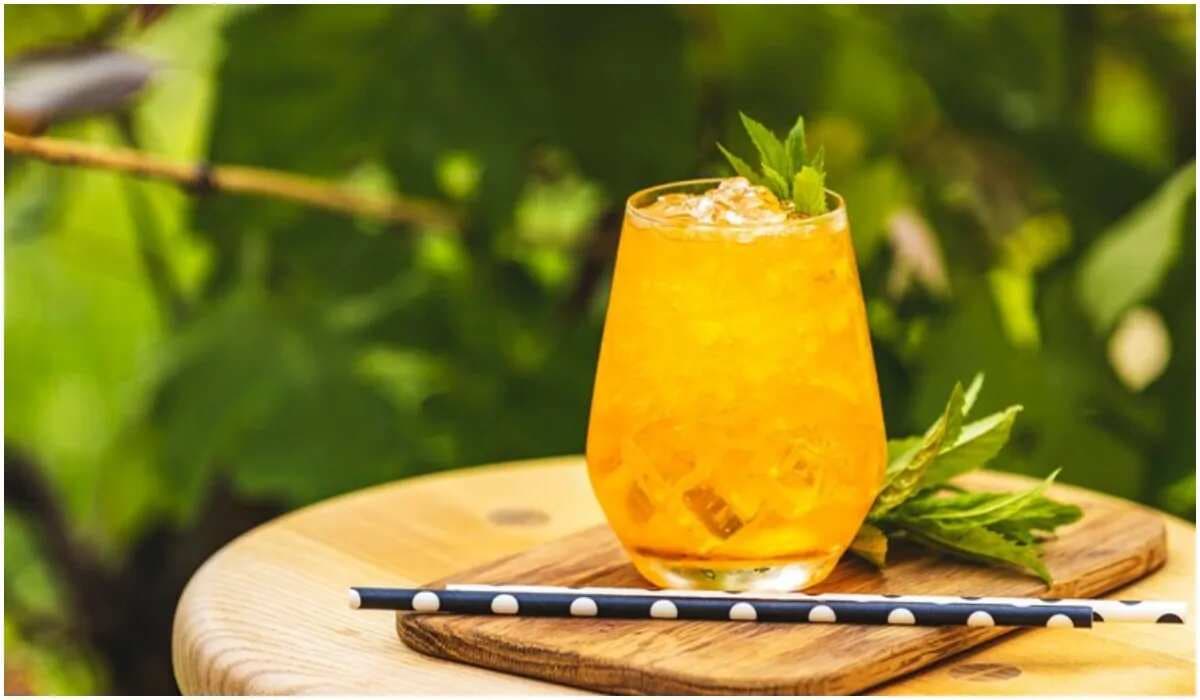 8 Mango Cocktails And Mocktails For Your Summer Parties