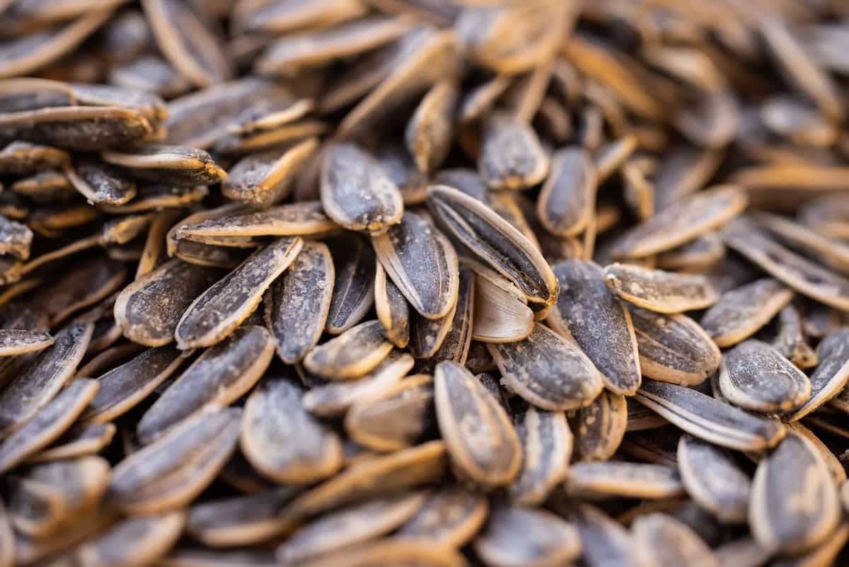 Sunflower Seeds: Add These Tiny Pearls To Your Everyday Cooking