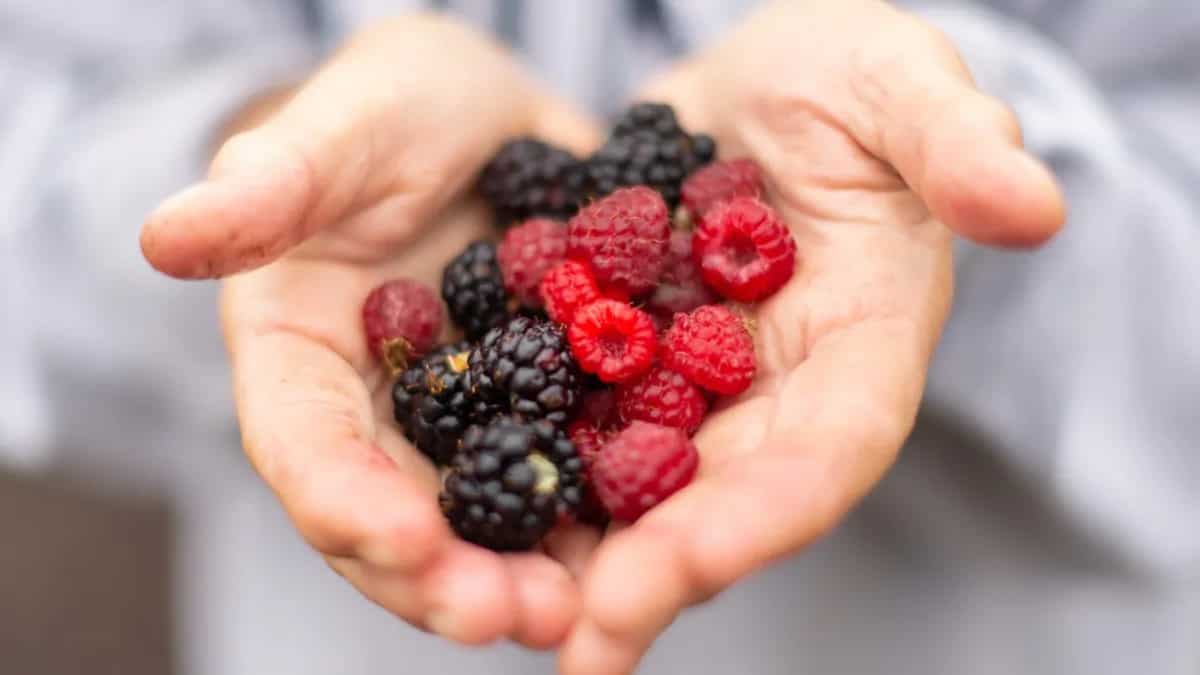 7 Wonder Berries Of India And Their Wonderful Health Benefits 