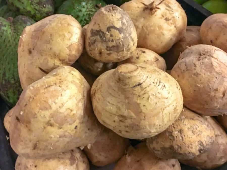 Jicama To Celeriac; 7 Unique Ingredients That Can Keep You Warm