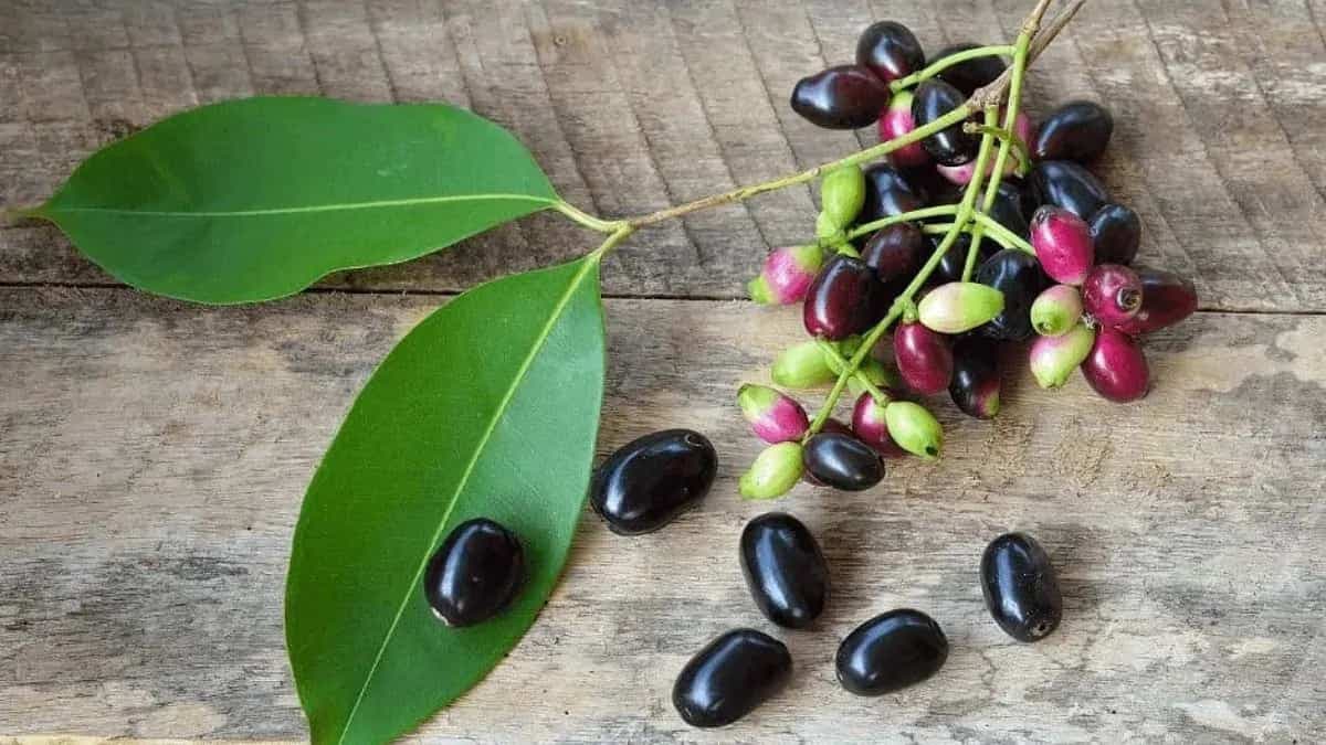 6 Dishes To Explore The Amazing Health Benefits Of Java Plum  