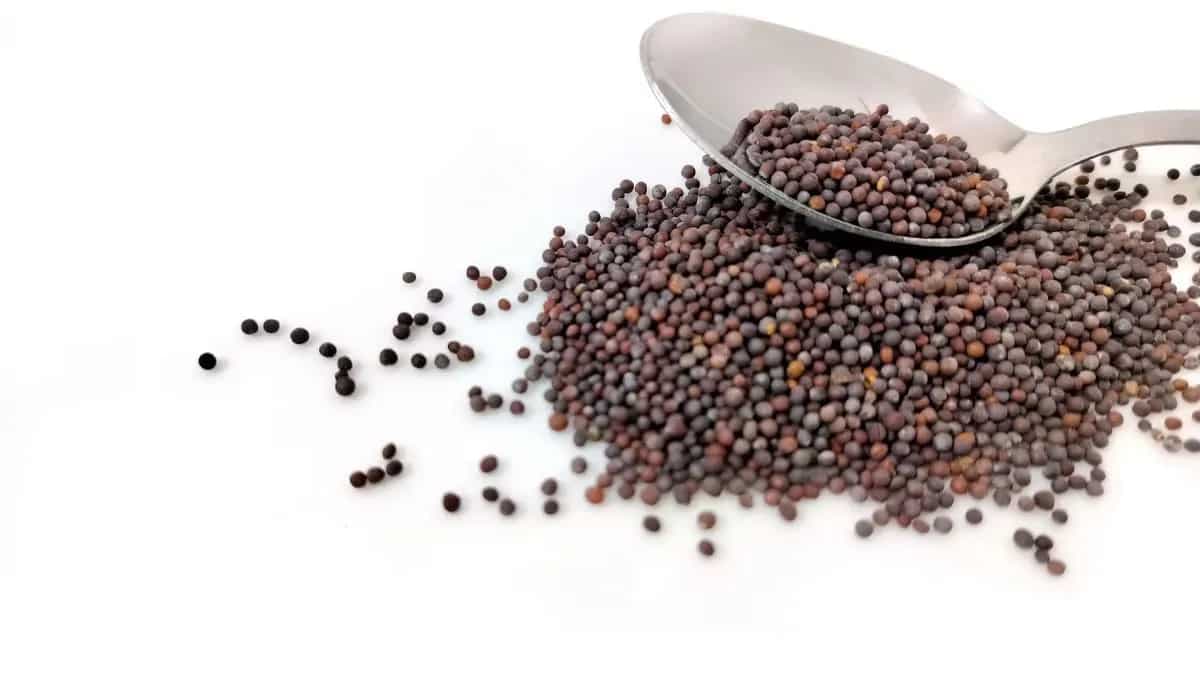 FSSAI Shares Tips To Check For Adulteration In Mustard Seeds