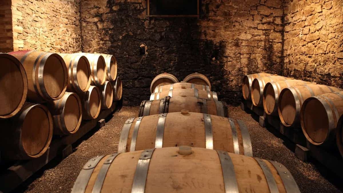 A Guide To 6 Different Types Of Whiskey Casks