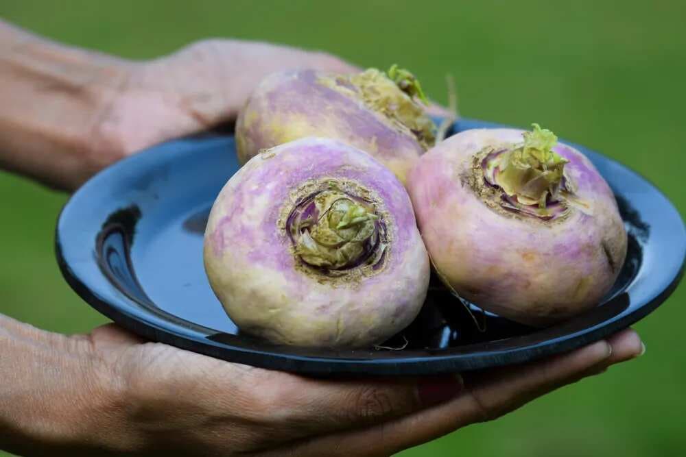 This Winters Add Shalgam Dishes To Your Platter  