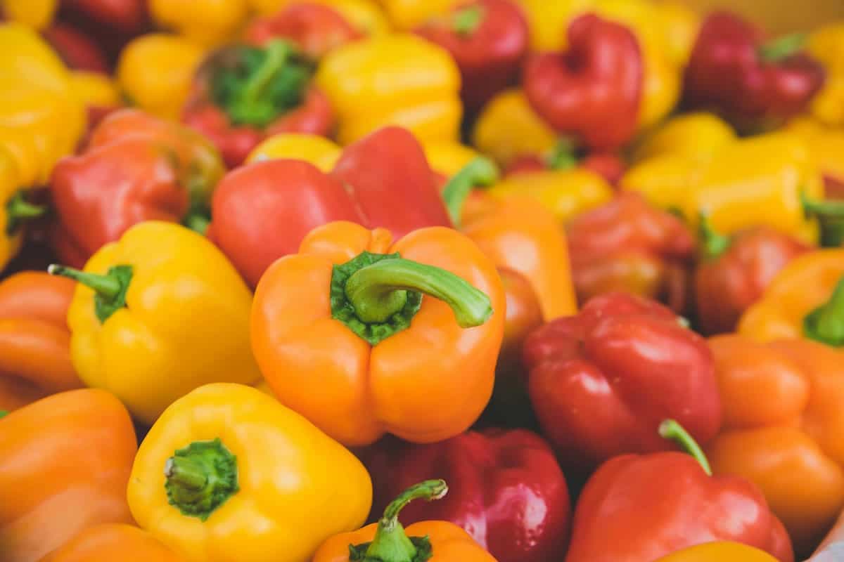 Have Some Bell Peppers? Know How To Use In Indian Dishes 
