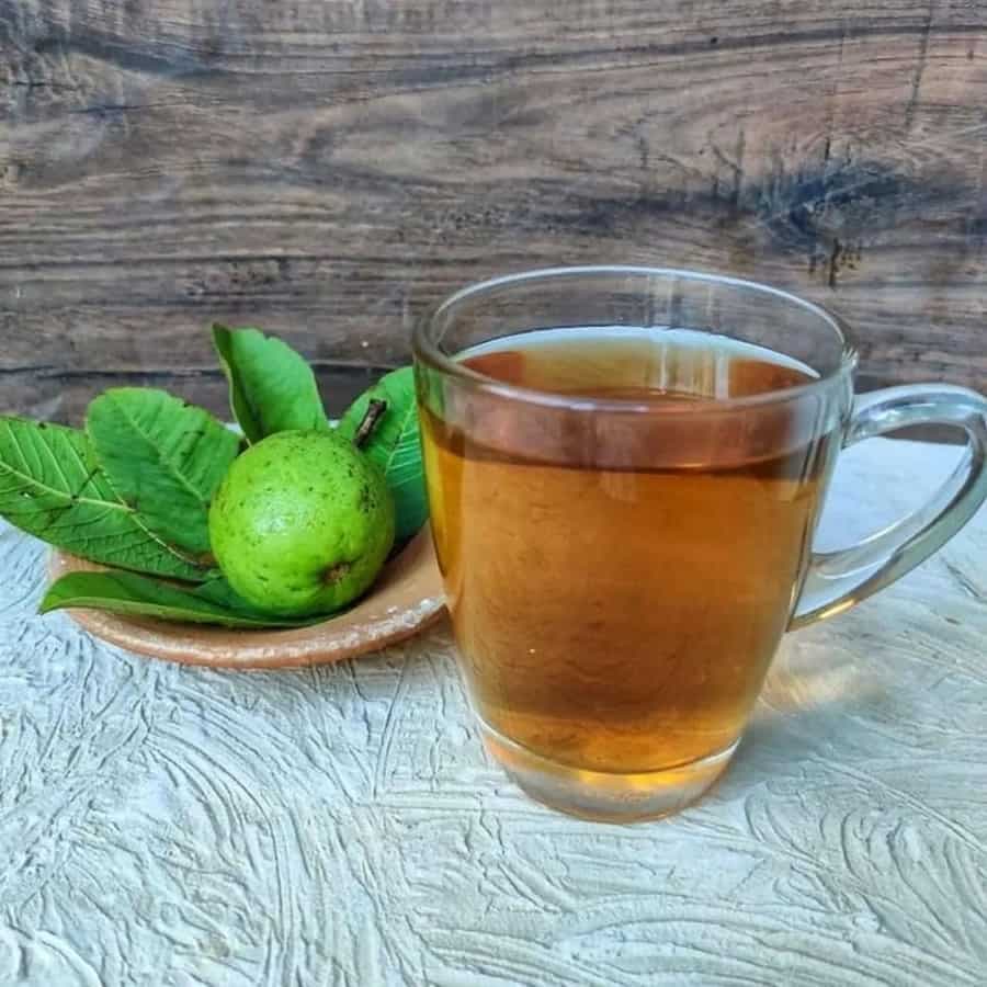 Guava Leaf Tea: An Herbaceous Drink to Add to Your Diet
