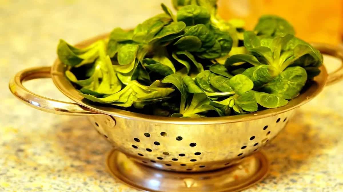 8 Indian Leafy Greens To Enjoy This Winter Season