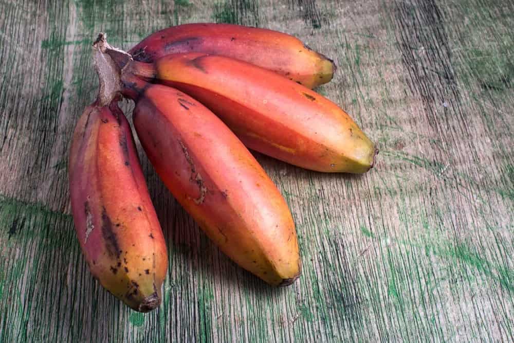 Red Bananas, 9 Reasons Why You Need To Add This Super Fruit