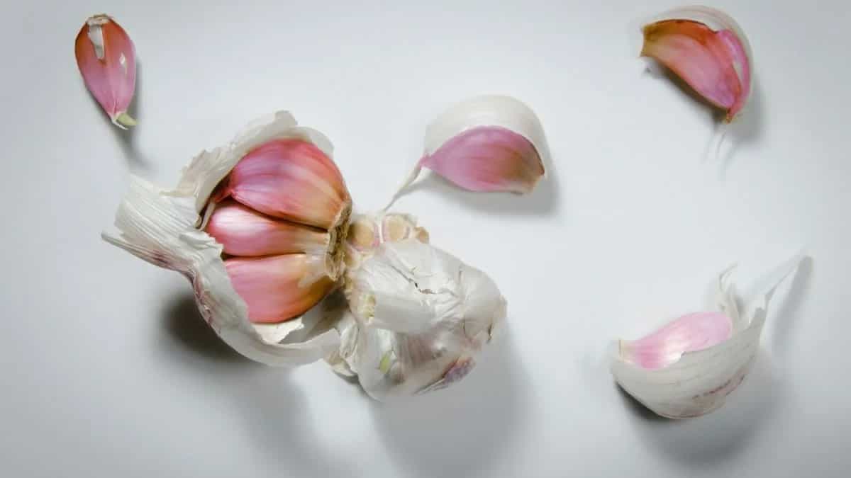 9 Health Benefits Of Eating Garlic On An Empty Stomach