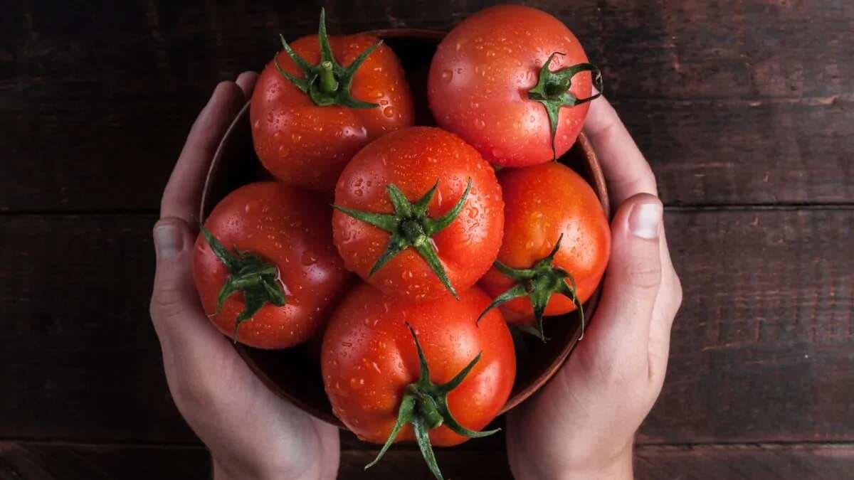 Tomato Prices Are Rising, But They Were Also Once On Trial