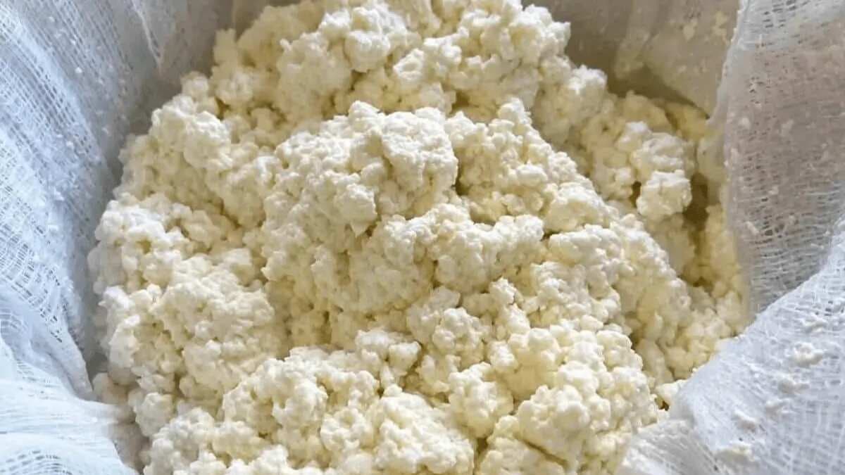 Make Fresh Ricotta Cheese At Home Using These Simple Tips