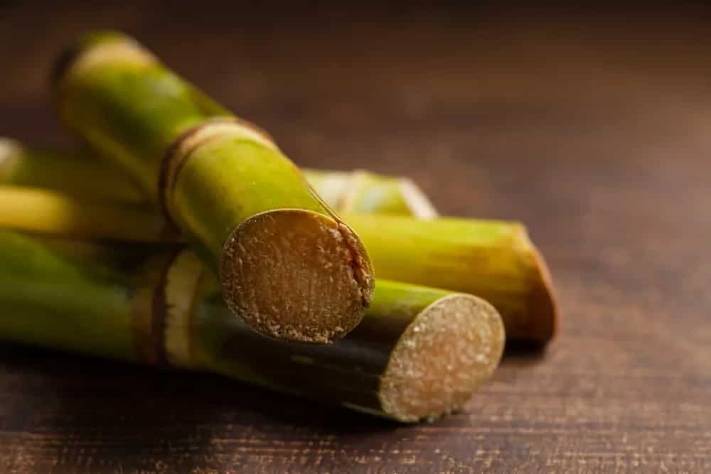 Check Out 4 Incredible Sugarcane Recipes