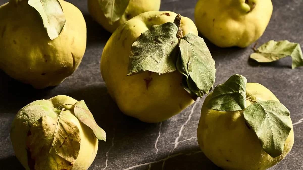 Bihi Dana Beyond The Pear: Understanding Quince And Its Uses