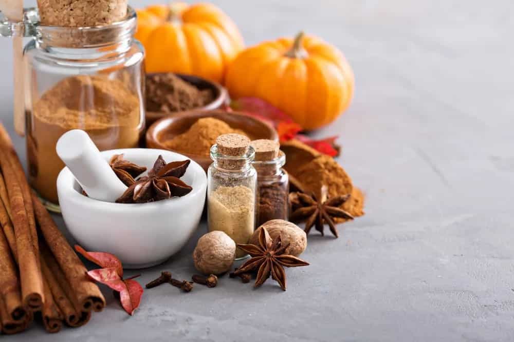 Pumpkin Spice, The Fall Special Ingredient