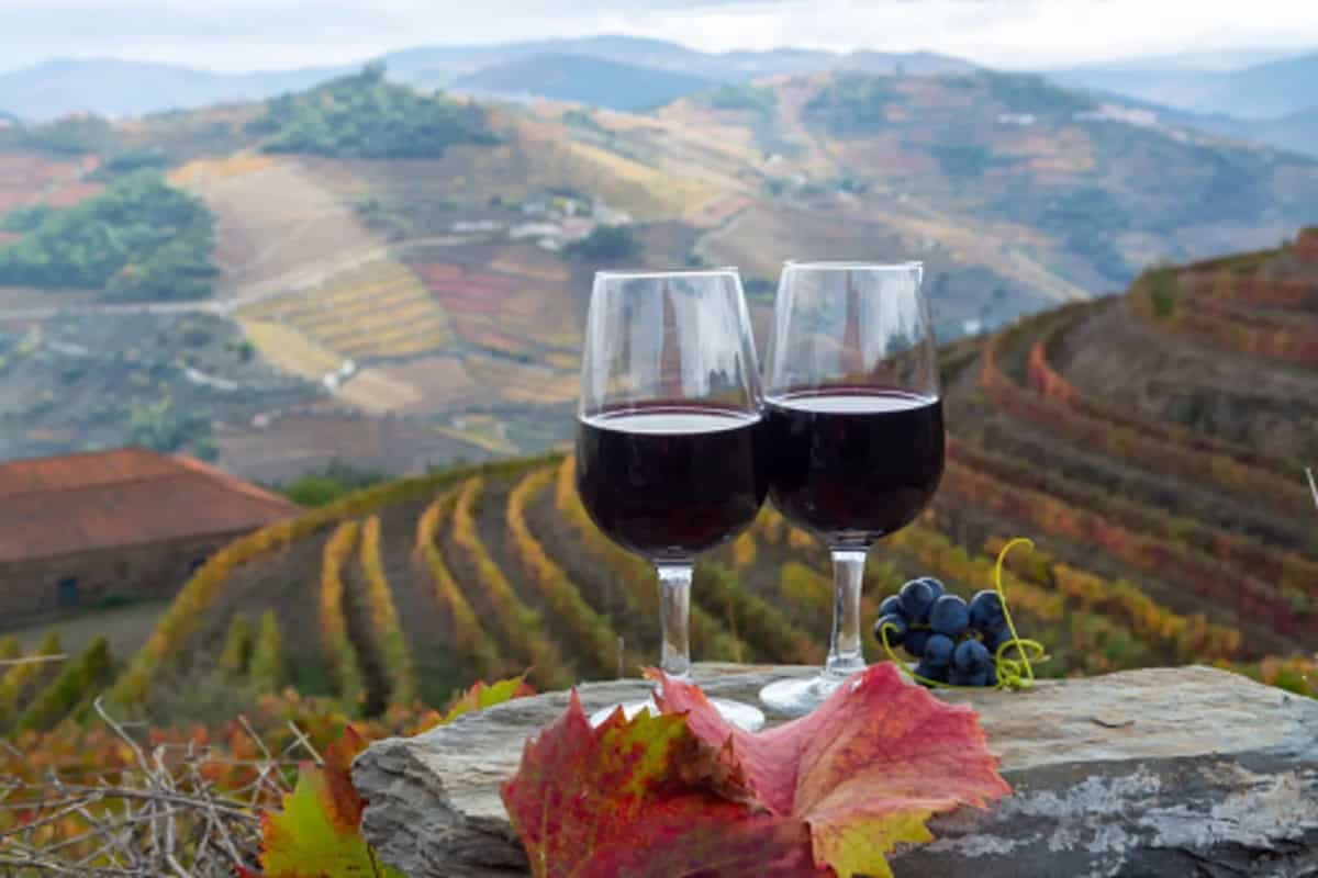 Uncover the Sweetness of Port: The Fortified Wine from Portugal