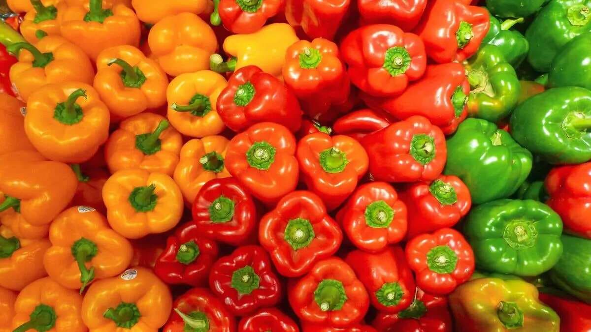 Colorful Benefits Of Red, Yellow and Green Bell Peppers