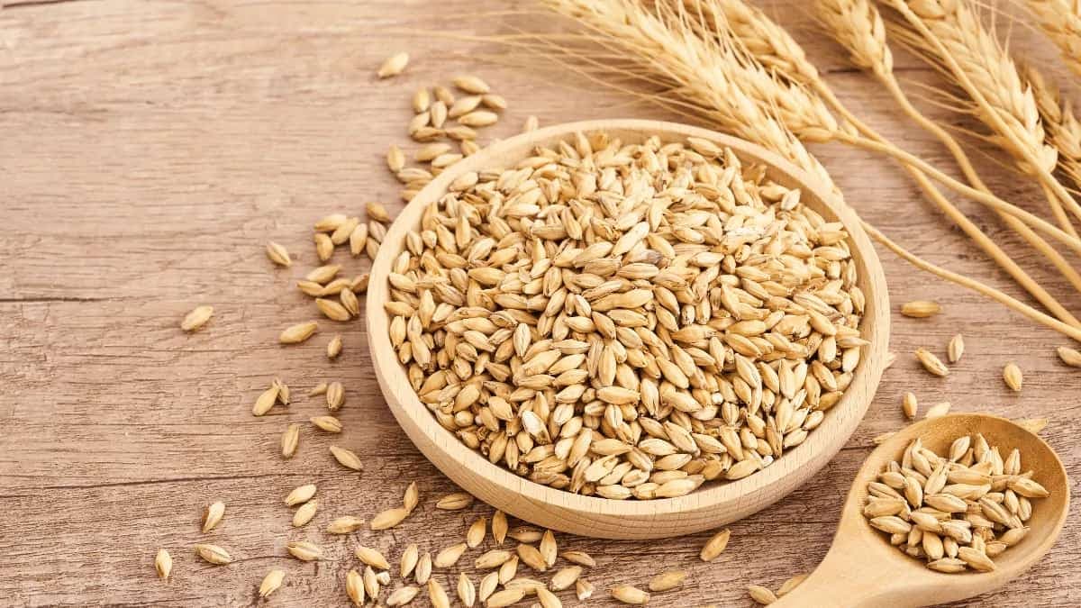 Cook With Barley: 7 Healthiest Recipes To Try This Summer