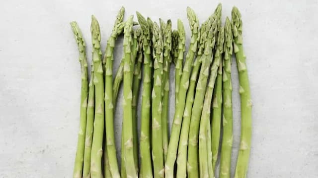 Growing Asparagus In Containers: Tips For Urban Gardeners