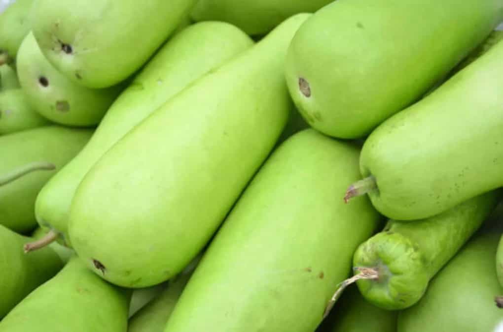 8 Must-Try Bengali Dishes Made From Bottle Gourd This Summer